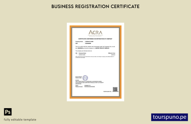listo para imprimir Certificado de constitución de empresa de Singapur Plantilla